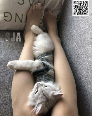 久久午夜夜伦鲁鲁片免费_国产剧电影在线看
